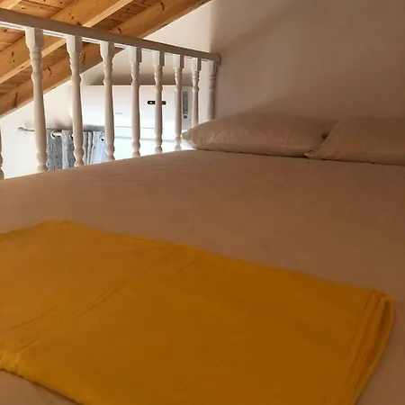 Siora Andromache فيلة *